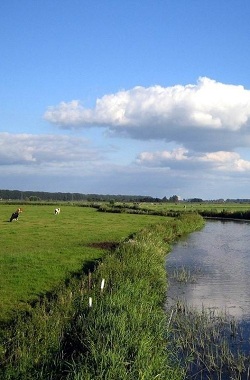 De Agrarische Natuurvereniging Altena-Biesbosch (ANV 